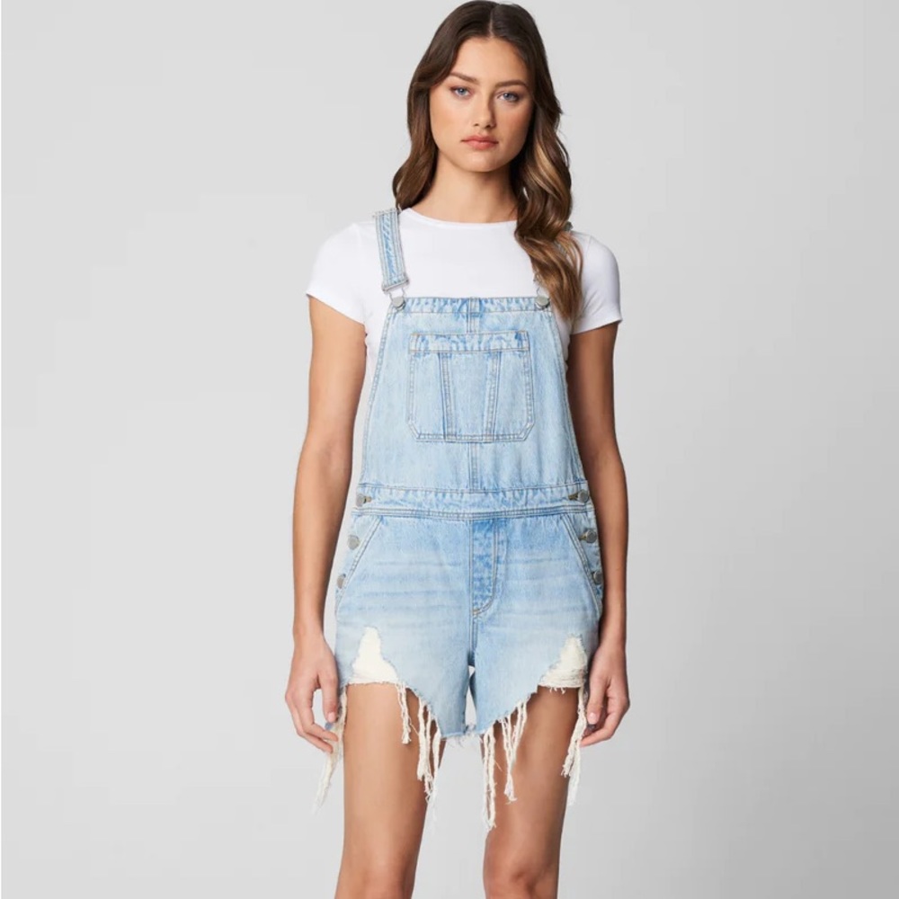 Revolve BLANKNYC Overalls in Mirror Mirror